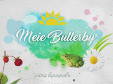 Meie Bullerby (Kanal2) saategraafika