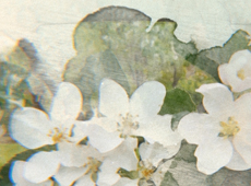 Ultrahelikeskuse sünnipäevatervitus klientidele